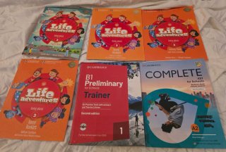 Libros de Ingles