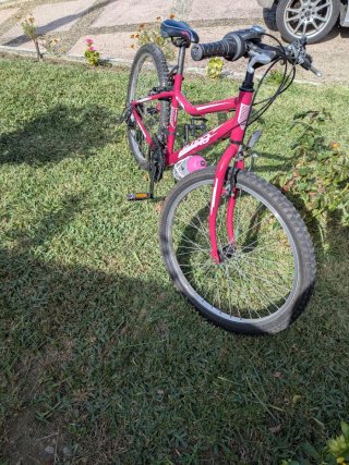 Bicicleta per Bambina 24 Pollici