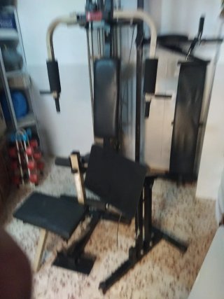 Gimnasio Multifunción Perform 440