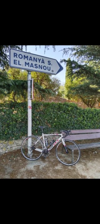 Bici carretera Ditec full carbono