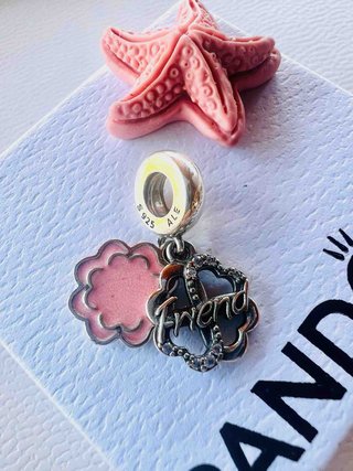 Charm Pandora Friend