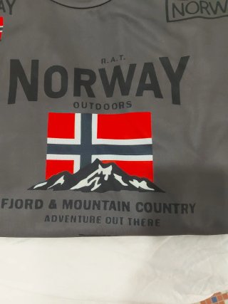 Camiseta Manga Larga Norway Gris