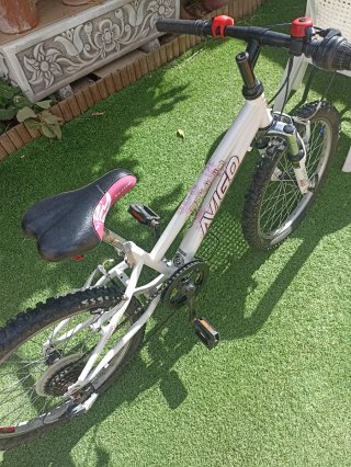 Bicicleta de Niña Avigo 20 Pulgadas