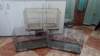 4 Jaulas para pájaros (3x60cm, 1x40cm)