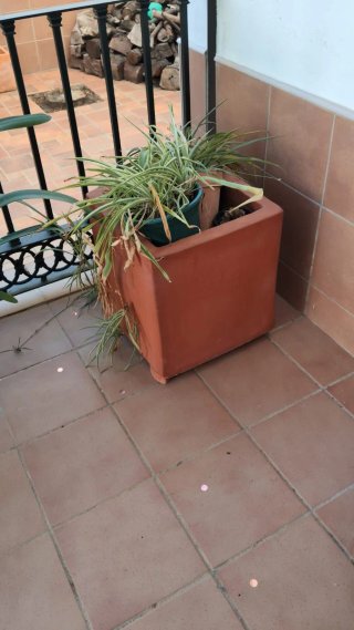 Maceta de Barro Cuadrada