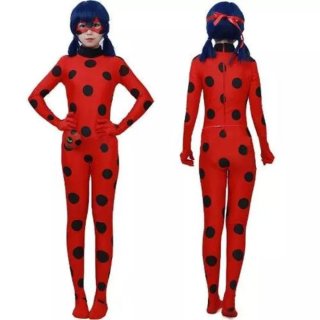Disfraz de Ladybug