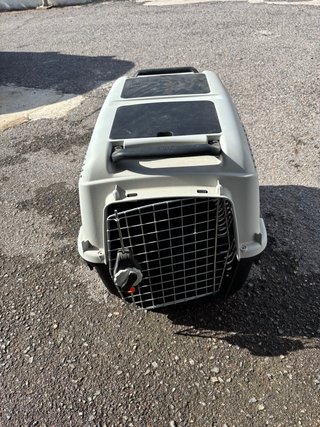 Transportín Perro Pequeño