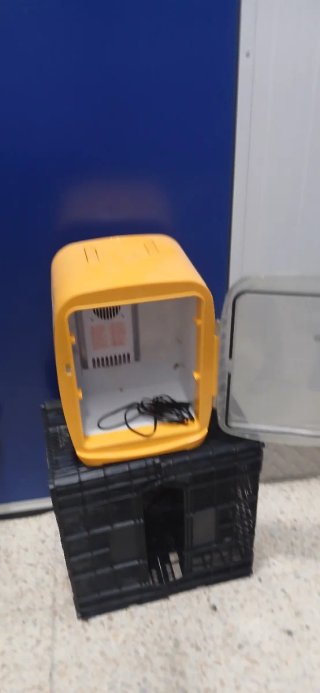 Nevera portátil para coche