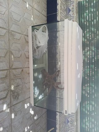 Acuario 100L