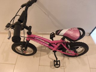 Bici Monty 102