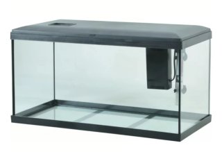 Pecera de cristal con tapa negra