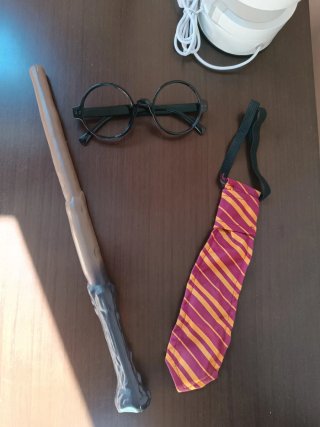 Disfraz de Harry Potter con accesorios