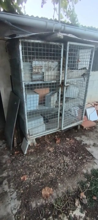 Jaulas grandes para cría y parideras de conejos
