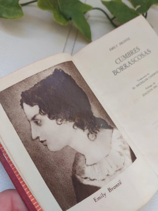 Libro Antiguo "Cumbres Borrascosas"