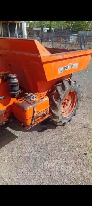 Dumper ratona naranja