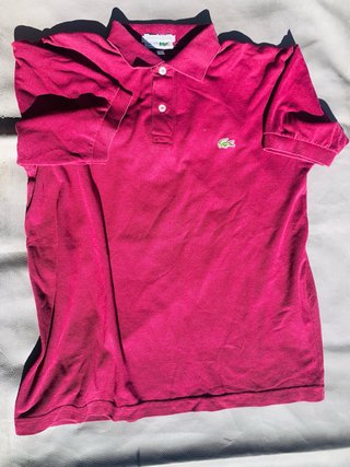 Camiseta Polo Lacoste Rosa rouge beaurdo