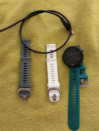 Garmin Forerunner 245