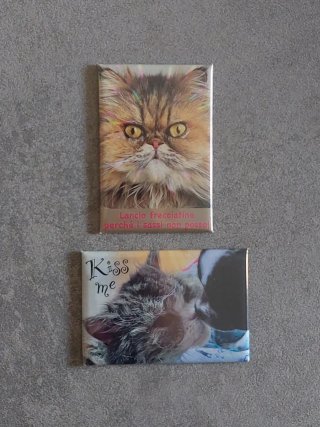 2 calamite Gatto - 5x8 cm Nuove