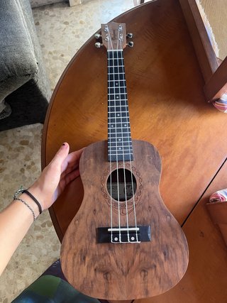 Ukulele con custodia e accessori