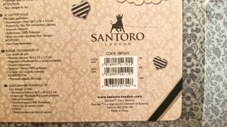 Funda Portátil 15 Santoro Gorjuss