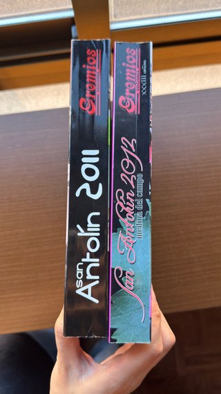 Revistas san antolin 2011 al 2019