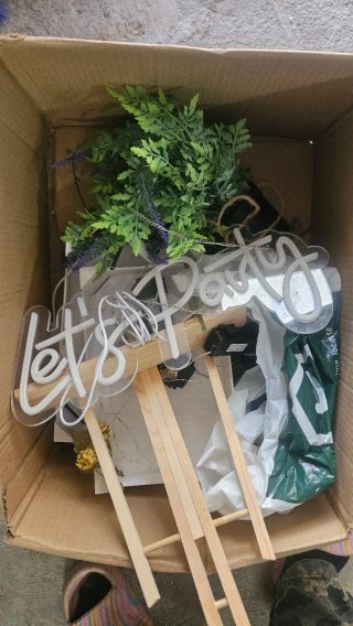 Let's Party Neon Sign & Greenery