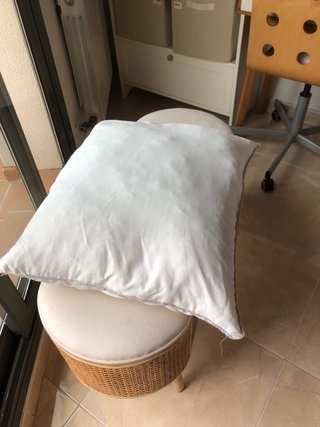 2 Rellenos Cojín Ikea 50x50 - 8€ los dos