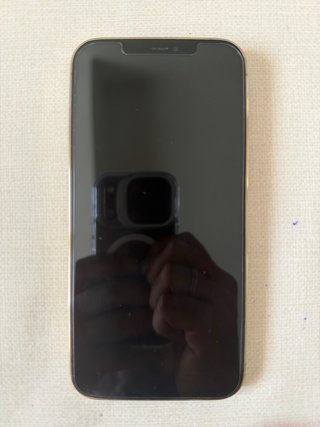 iPhone 12 Pro Max 128 GB