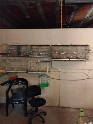 4 Jaulas 60cm y 2 Jaulas 1m