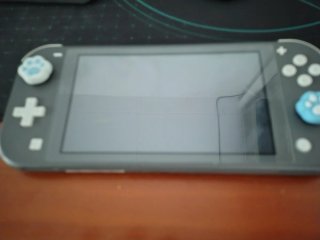 Nintendo Switch Lite Gris