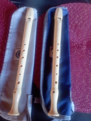 2 Flautas Hohner