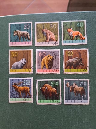 Francobolli Polonia 1965 Animali della Foresta