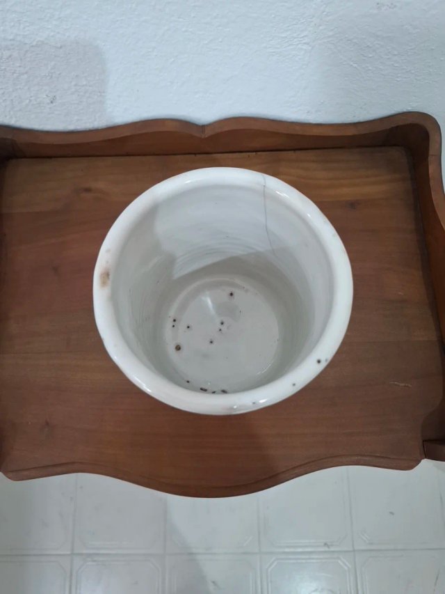 Antiguo Tarro de Manises