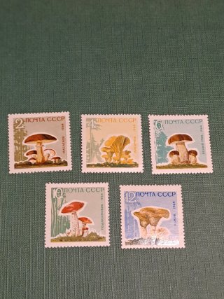 Francobolli URSS 1964 Serie Funghi
