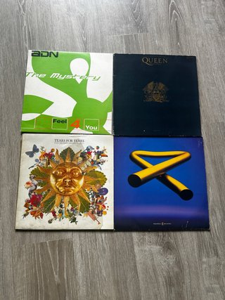 Lote 4 Vinilos: Queen, Tears for Fears, ADN