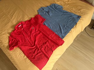 2 Polos Lacoste (Rosa y Azul)
