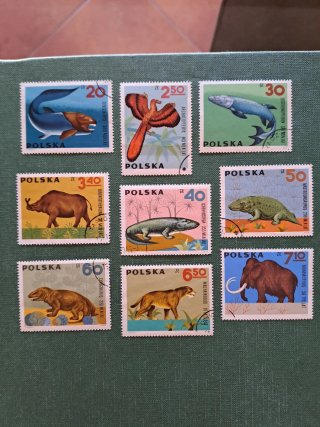 Francobolli Polonia 1966 Serie Animali Preistorici