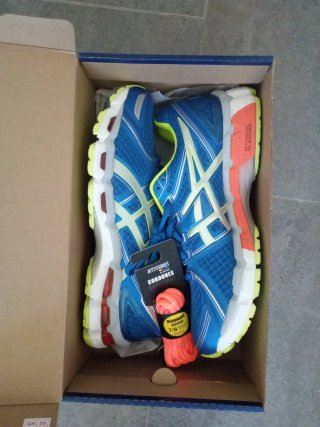 Zapatillas Running Asics Gel Kayano 19 T.43.5