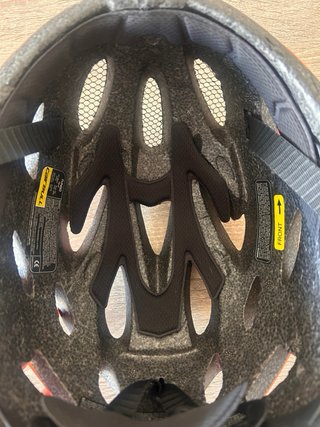 Patinete Eléctrico Xiaomi Pro 2