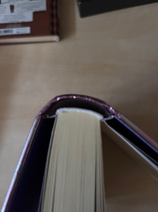 Libro 13 Diario de Nikki