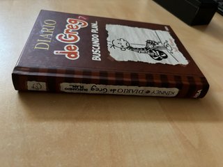 Libro 7 Diario de greg, buscando plan...