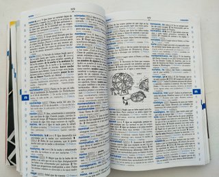 Diccionario Primaria Nivel Básico de Ediciones SM