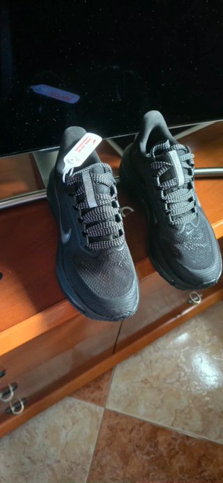 Zapatilla Nike Pegasus 39 Negra Talla 39