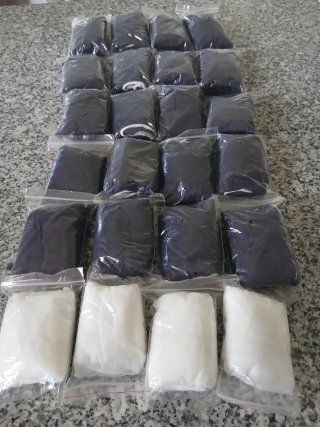 Lote de 24 Slips de Papel Desechables