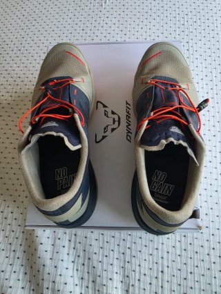 Zapatillas Trail Dynafit Alpine Pro 2 Beige/Azul