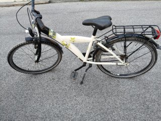 Bicicleta blanca