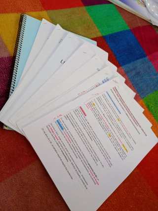Apuntes lengua y literatura Bachillerato