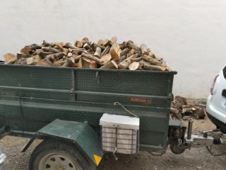 Leña de olivo