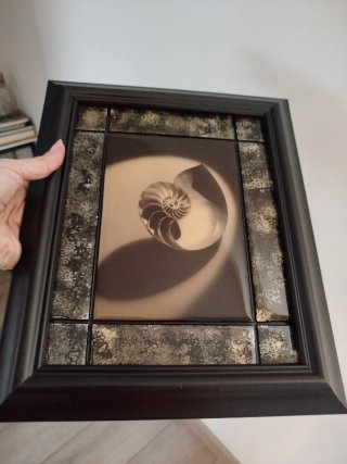 Cuadro decorativo con motivo de nautilus