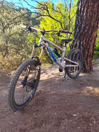 Bici Canyon DH